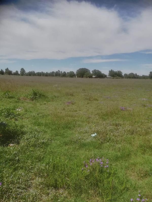 0 Bedroom Property for Sale in Roodia Free State